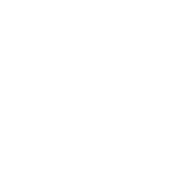Minority Depository Institution